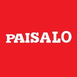 Paisalo Digital Ltd. Logo