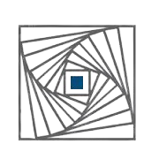 Compuage Infocom Ltd. Logo