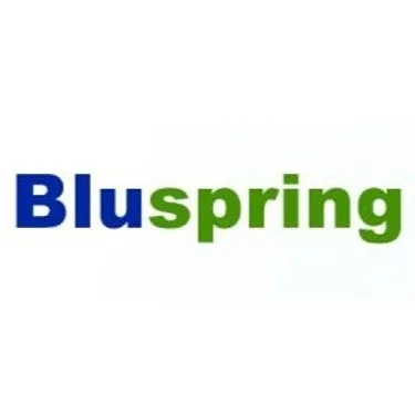 Bluspring Enterprises Ltd. Logo