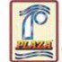 Plaza Wires Ltd. Logo