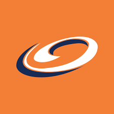 Firstsource Solutions Ltd.