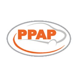 PPAP Automotive Ltd. Logo