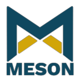 Meson Valves India Ltd. Logo