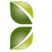 Capital Trust Ltd. Logo