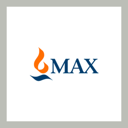 Max India Ltd. Logo