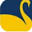 New Swan Multitech Ltd. Logo
