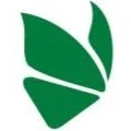 stock-icon