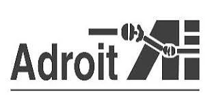 Adroit Industries (India) Limited